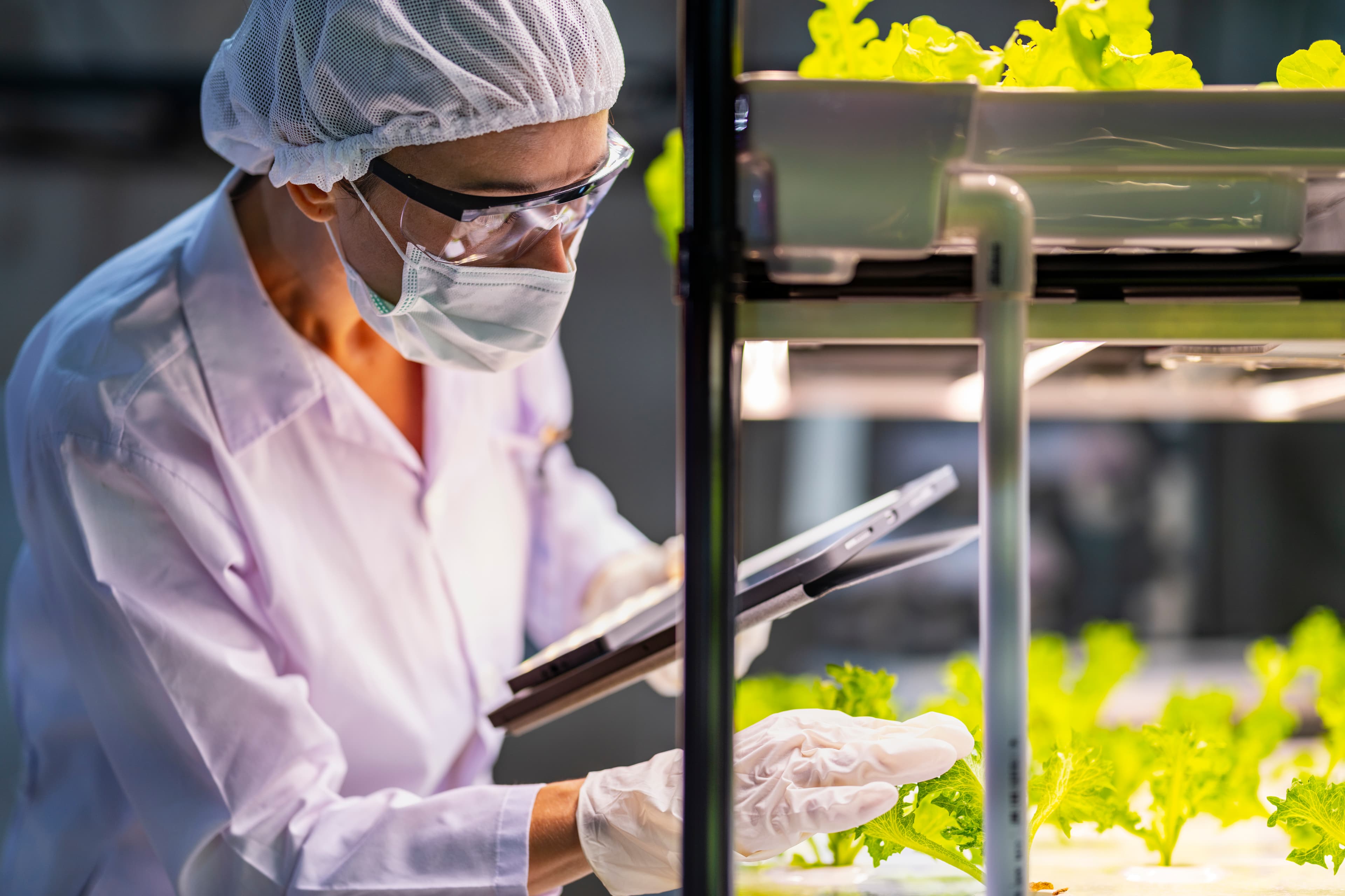 Illustration des métiers de l’industrie et de l’agroalimentaire